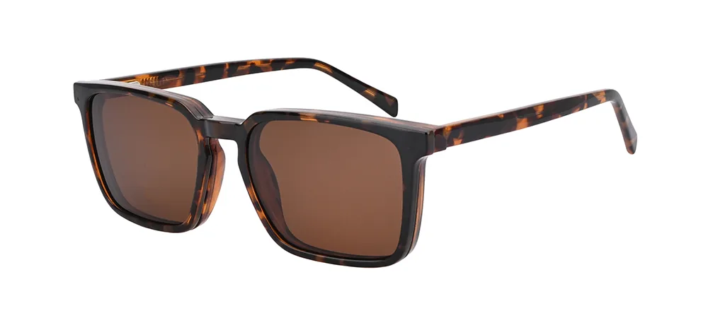 BCM307 C2 optical frame with magnetic sun clip