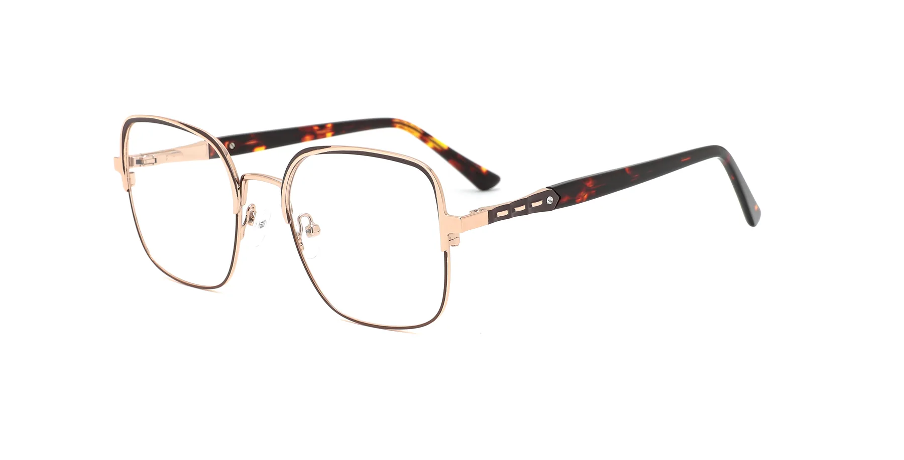 D3452 C2 C2 photographed sample metal optical frame