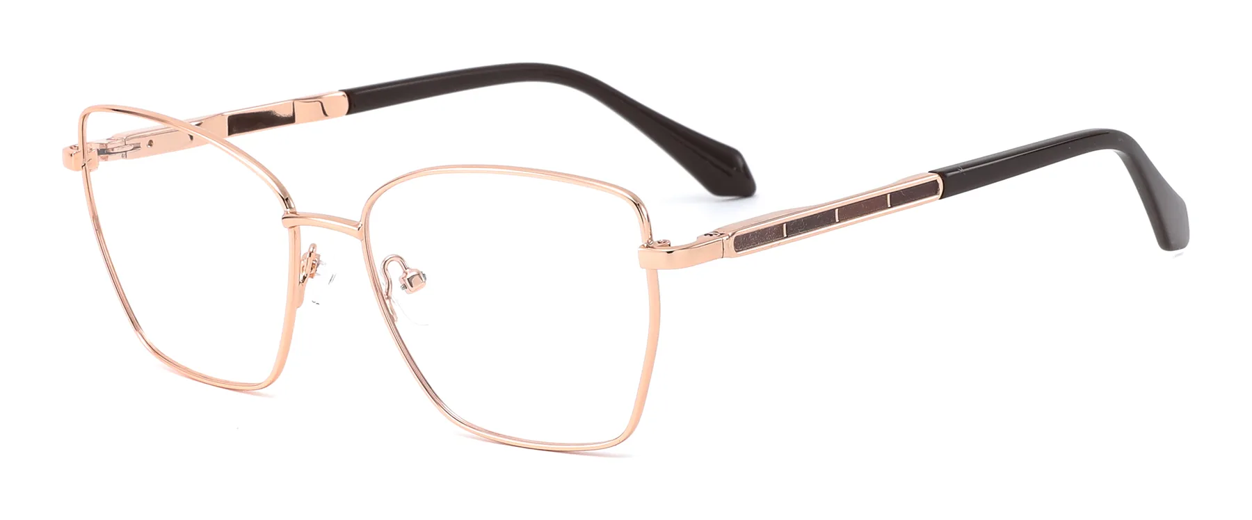 D3727 C2 C2 photographed sample metal optical frame