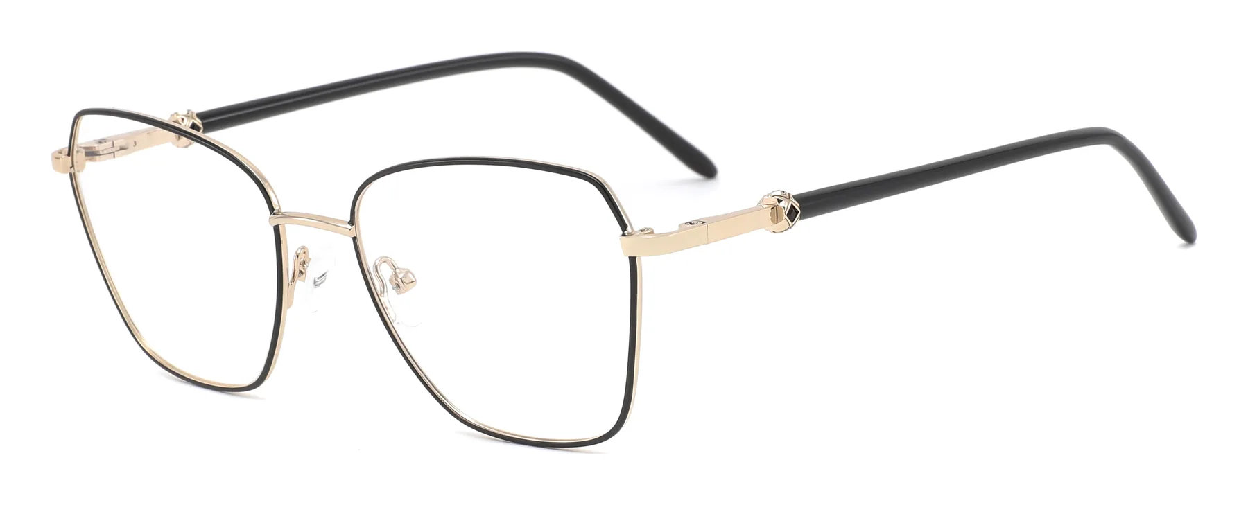 D3741 C1 C1 photographed sample metal optical frame