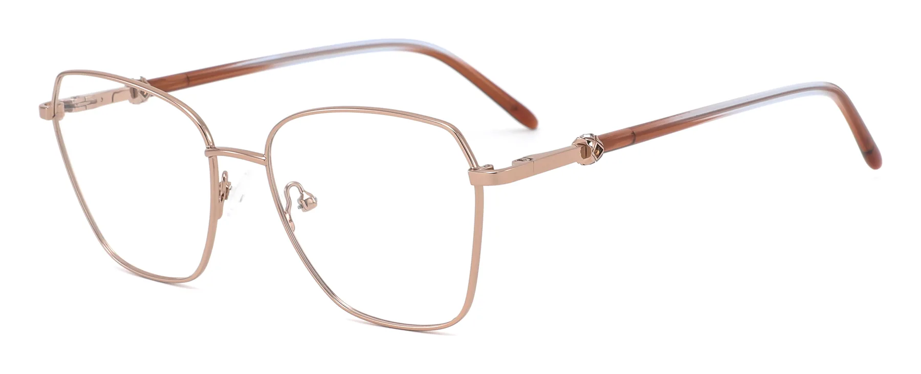 D3741 C2 C2 photographed sample metal optical frame