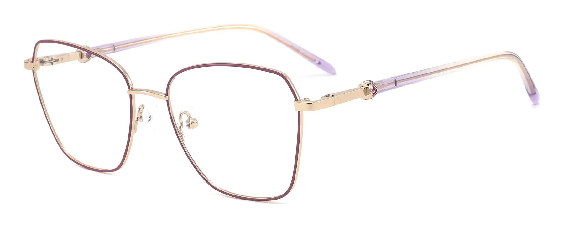 D3741 C4 C4 photographed sample metal optical frame