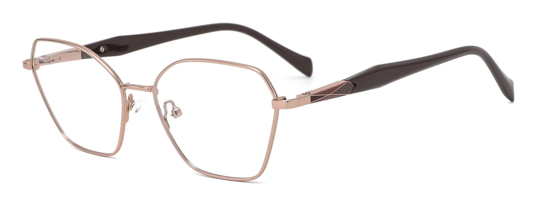 D3743 C2 C2 photographed sample metal optical frame