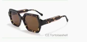 ELS8039 C2 acetate sunglasses