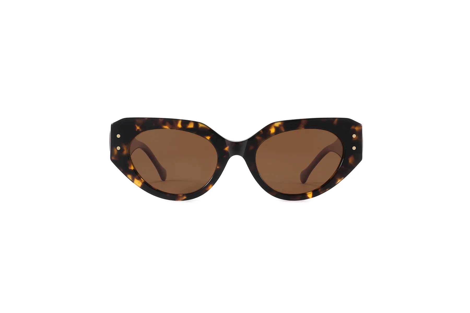 ELS8042 acetate sunglasses front view