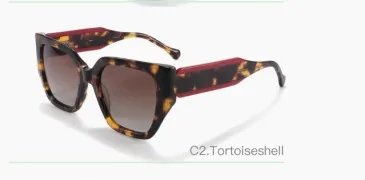 ELS8043 C2 acetate sunglasses
