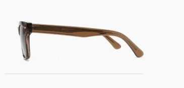 ELS8055 C4 acetate sunglasses