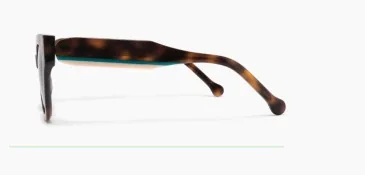 ELS8057 C4 acetate sunglasses