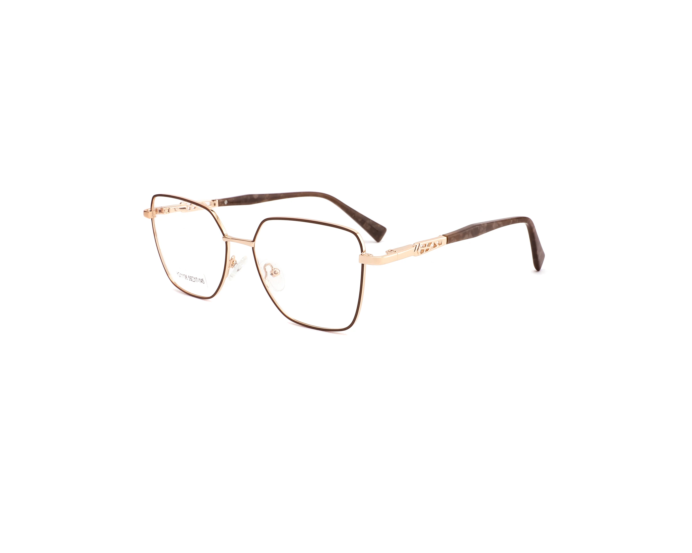 YG11106 C2 C2 photographed sample metal optical frame